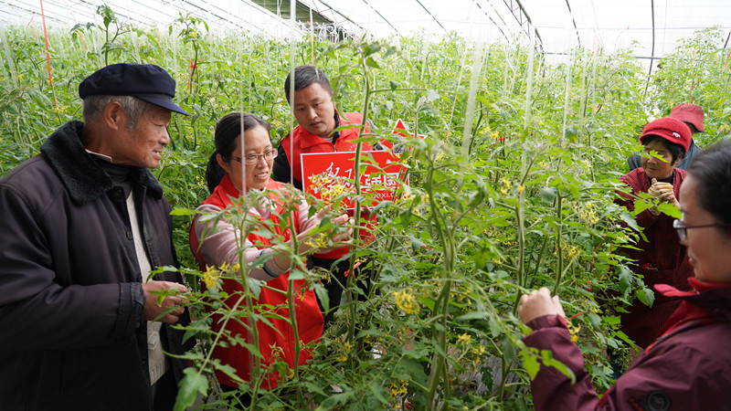 �����l(xi��ng)�����d | ���Ѕ^(q��)����·�ֵ���Ո�r(n��ng)�������_չ�Nֲ���g(sh��)ָ��(d��o)