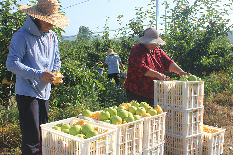 ��ó������Ѕ^(q��)ǰ�����@��(g��)���@������������