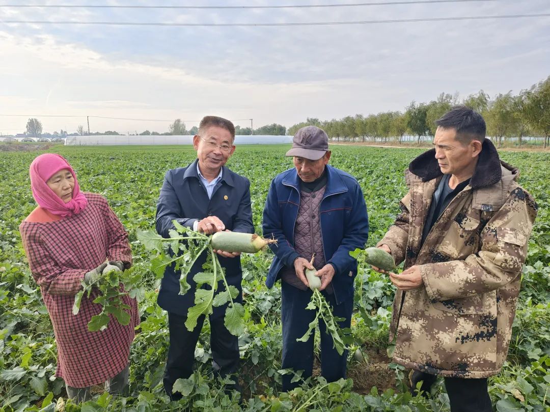 ������L�r�������f(xi��)ί�T��ֱ������ɳ�������}�����պ���ζ