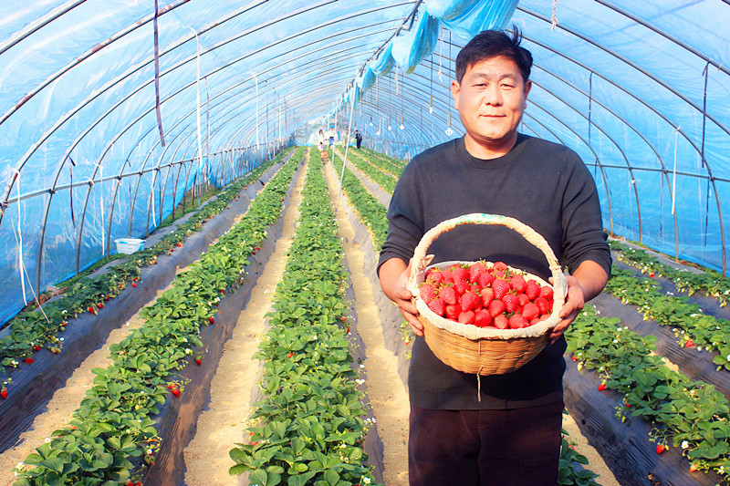 2025��ɽ�|��ݮ�a(ch��n)�I(y��)���(hu��)�A�M���_�����f���R�ϲ�ݮ�@��ժ�ý�(ji��ng)